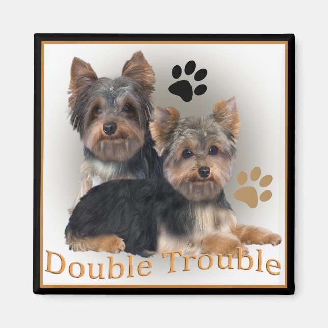 Íman Bolsas de Dupla Problemas em Yorkshire Terrier (Frente)