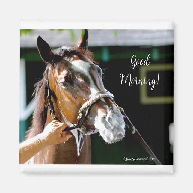 Íman Bom dia! Cavalo (Frente)