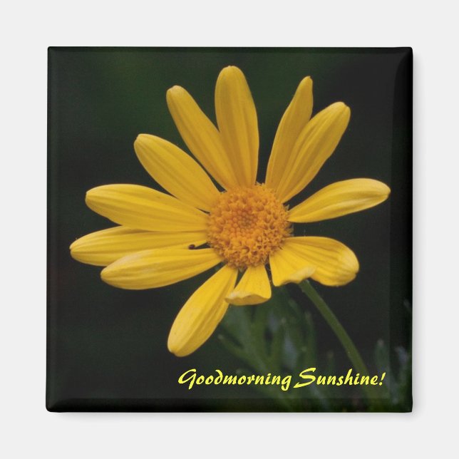 Íman Bom dia Sunshine (Frente)