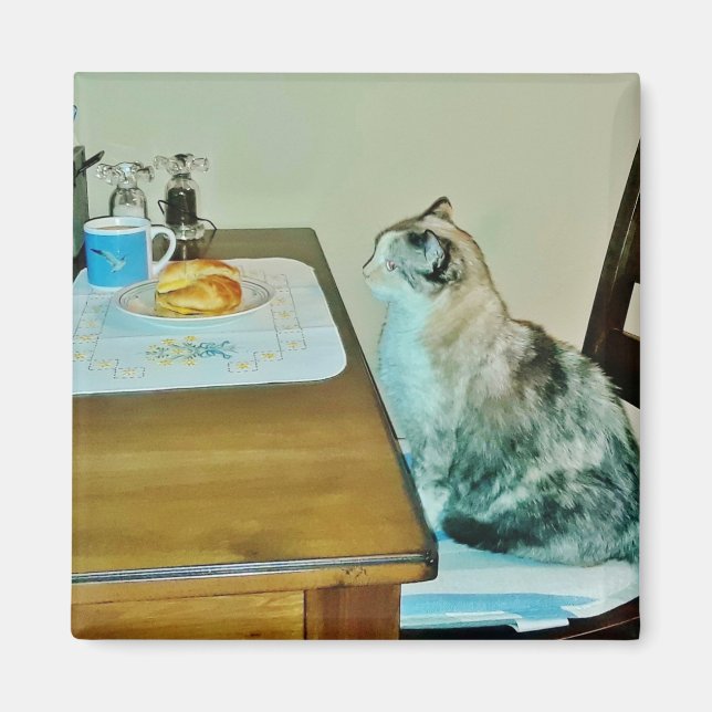 Íman Bom Manancial (Frente)