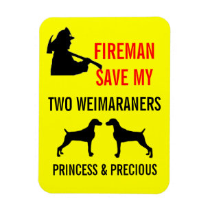 Íman Bombeiro Guarda Minha Segurança Contra Fogo