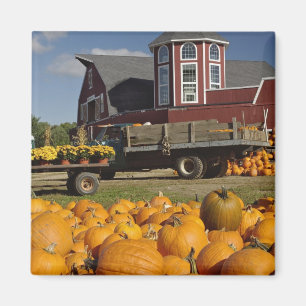 Íman Bombeiros na fazenda no outono perto do Concord, 2