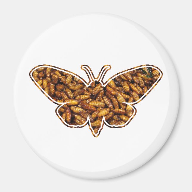 Íman Bombyx Mori Silk Moth Life Cycle Silhoule (Frente)