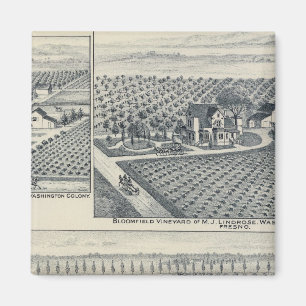 Íman Bonacourt Ranch, Colônia de Washington, Califórn