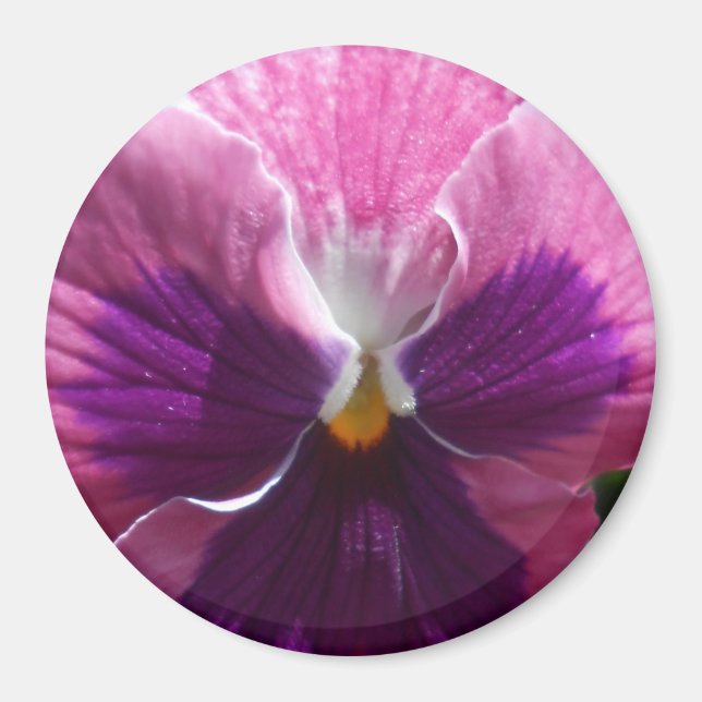 Íman Bonheur (Frente)