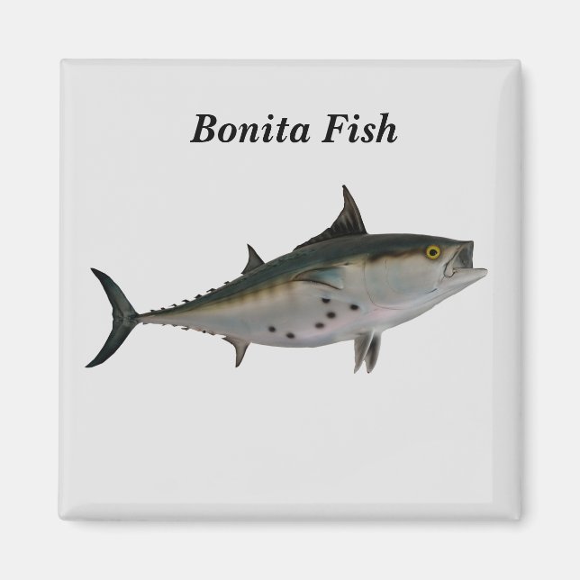 Íman Bonita Fish Magnet (Frente)