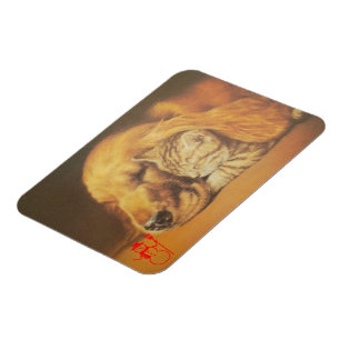 Íman Bonita Impressão de Arte de Cachorro e Gato Incrív