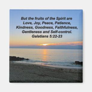 ÍMAN BONITAS FRUTAS SUNRISS DO SPIRIT MAGNET