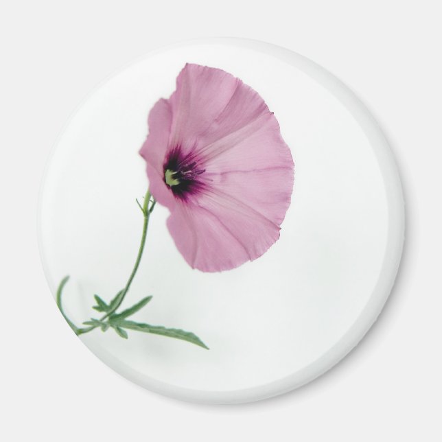 Íman Bonito a rosa (Frente)