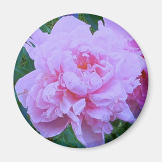 Íman "Bonito a rosa"