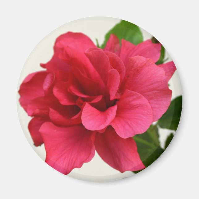 Íman Bonito a rosa - ímã (Frente)