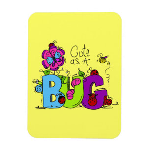 Íman Bonito como um inseto