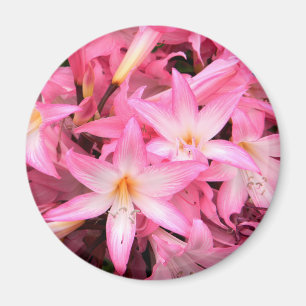 Íman Bonito em rosa...
