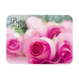 Íman Bonito em rosas cor-de-rosa