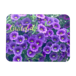 Íman Bonito Gratidão Púrpura Petunia