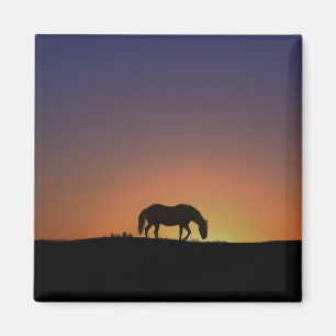 Íman Bonito ímã do sudoeste