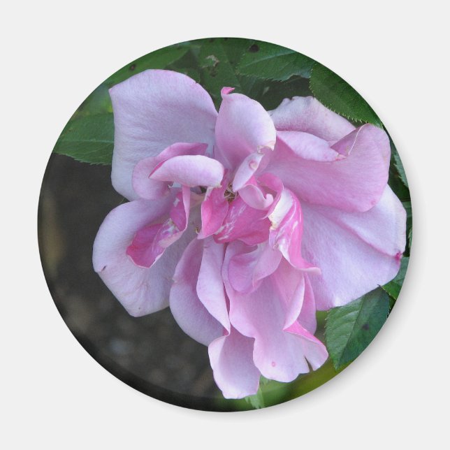 Íman Bonito Lady 092 (Frente)