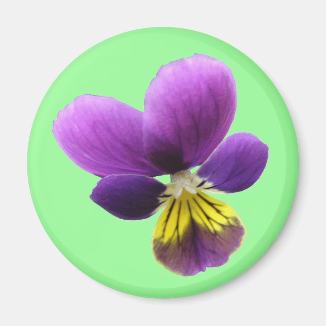 Íman Bonito Magnet Pansy (Frente)