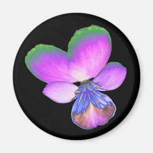 Íman Bonito Magnet Pansy