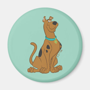 Íman Bonito mais bonito de Scooby-Doo do que