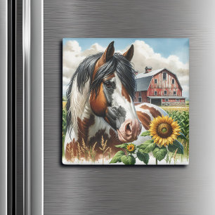 Íman Bonito Pinto Brown e Cavalo Branco na Fazenda russ