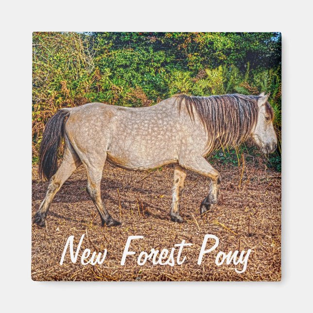 Íman Bonito Presente de Aroma de Equinos (Frente)