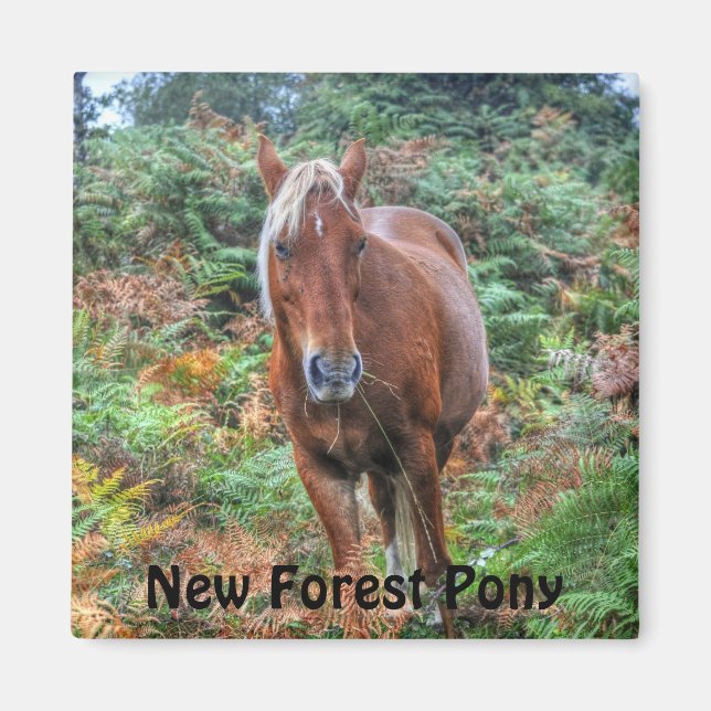 Íman Bonito Presente de Aroma de Equinos (Frente)