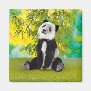 Íman Bonito Urso de Panda Kawaii Amante de os animais p