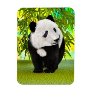 Íman Bonito Urso de Panda Kawaii Amante de os animais p