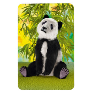 Íman Bonito Urso de Panda Kawaii Amante de os animais p