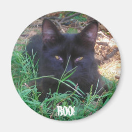 ÍMAN BOO! MAGNET DE GATINHO PRETO