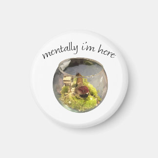 Íman borb planetarium