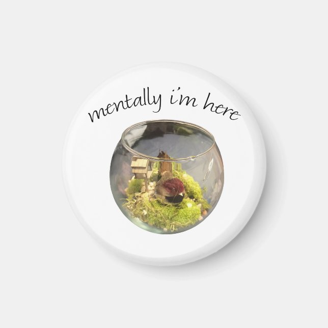 Íman borb planetarium (Frente)