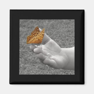 Íman Borboleta