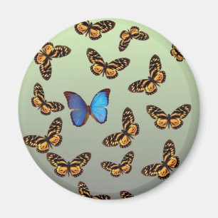 Íman borboleta