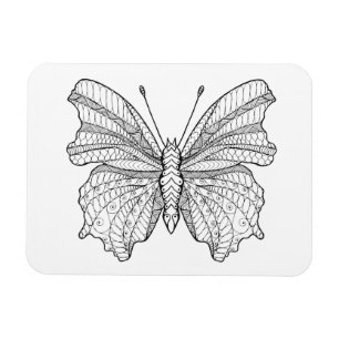 Íman Borboleta 3 do estilo