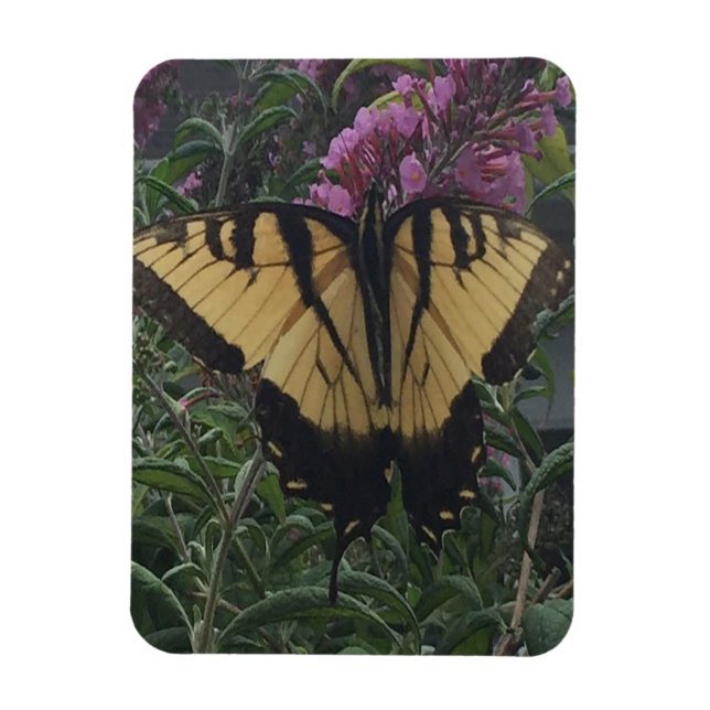 Íman Borboleta Amarela e Preta Personalizada com Foto   (Vertical)