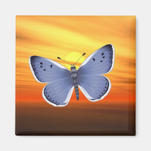 Íman Borboleta azul