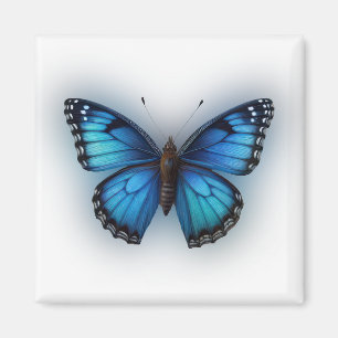 Íman Borboleta Azul