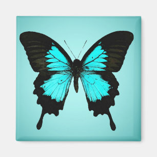 Íman Borboleta - azul e preto de turquesa