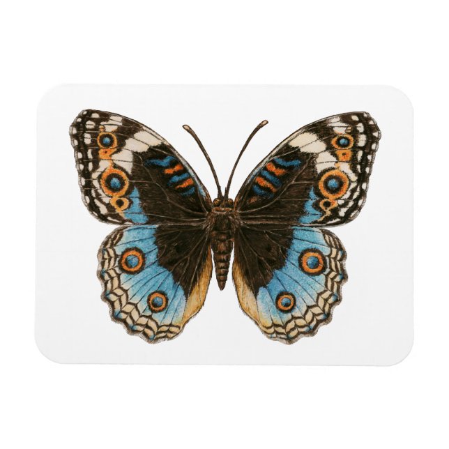 Íman Borboleta Azul Pansy (Horizontal)