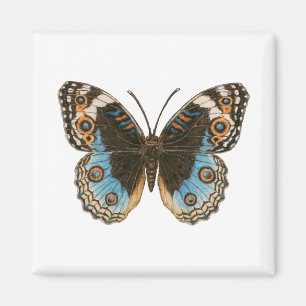 Íman Borboleta Azul Pansy