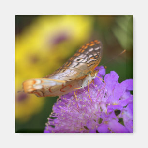 Íman Borboleta branca de pavão em floração roxa
