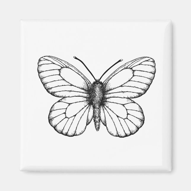 Íman Borboleta branca de veado negro (Frente)