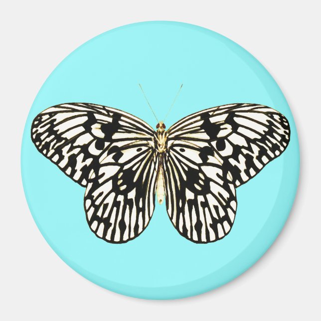 Íman Borboleta branca e preta, fundo de turquesa (Frente)