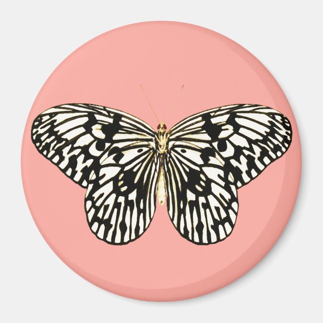Íman Borboleta branca e preta,fundo rosa-coral (Frente)