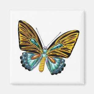 Íman Borboleta de Bling Bling