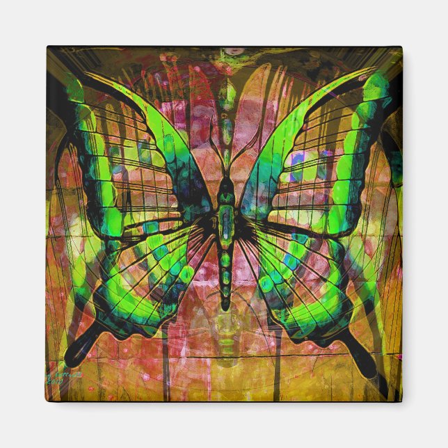 Íman Borboleta de Ferro (Frente)