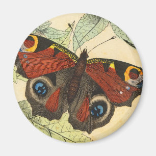 Íman Borboleta de pavão