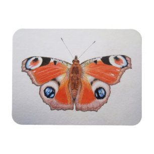 Íman Borboleta de pavão 2012